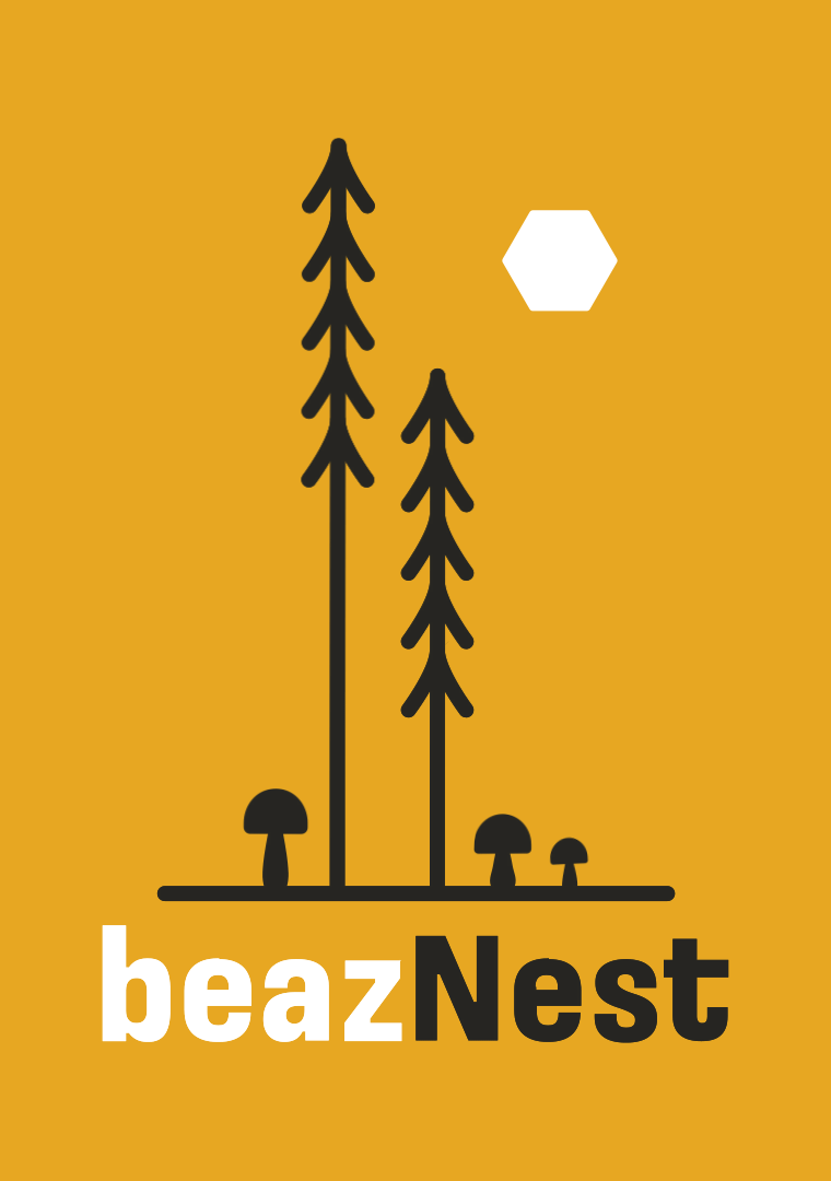 beazNest logo